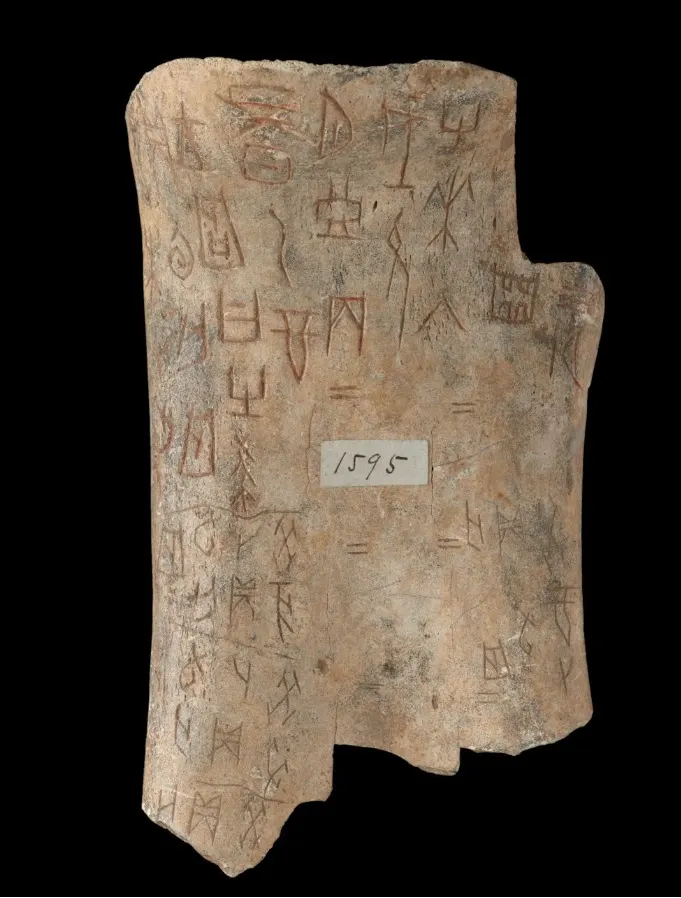 Os oraculaire de la dynastie Shang gravé d'inscriptions divinatoires